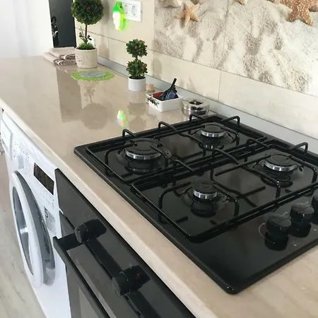 アパート Apartament Yanis ナボダリ